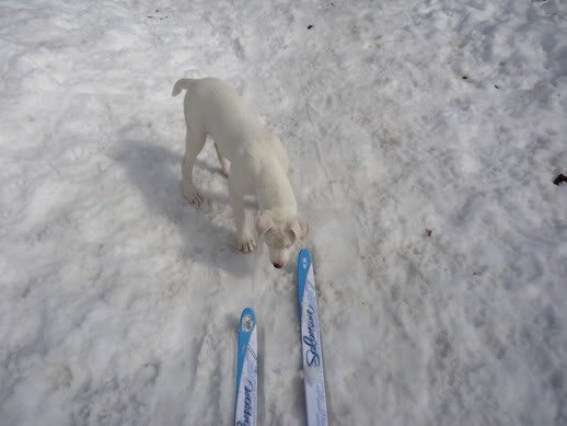 253643_116207915134120_1545241_n