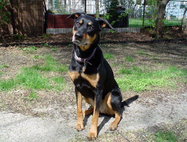 Back when there was a little grass on the dirt farm.