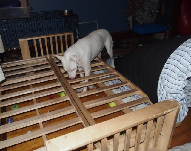 I'm not sure this plan was well-thought out, however. 