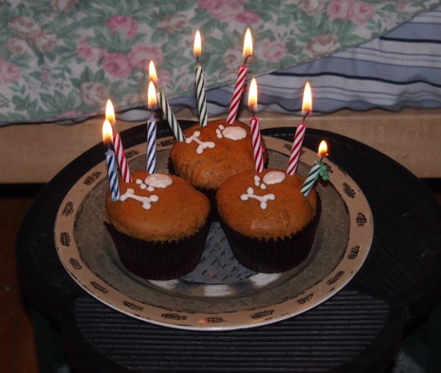 Nine candles. PIP IS NINE.