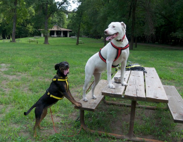 Our rest, water and stretch break from the last time we were scootering. 