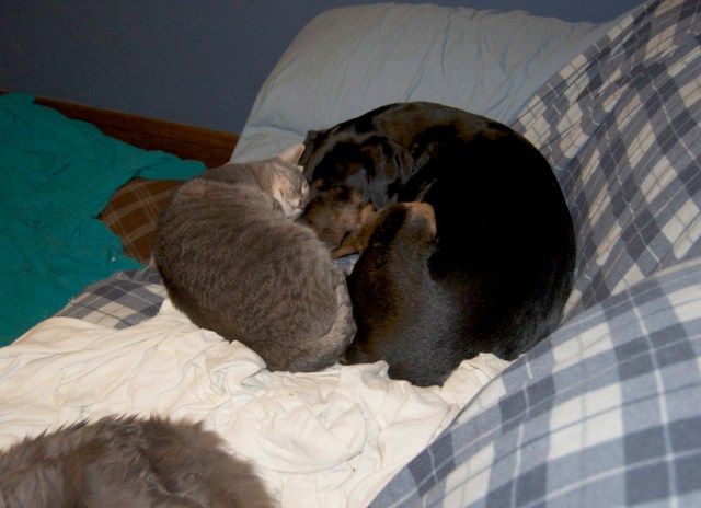 This is where they killed me with cute.