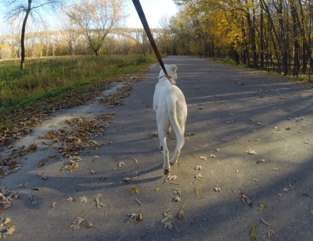 Ready to rock and roll. 