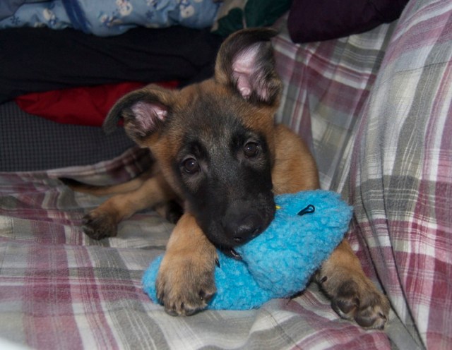 Sometimes opportunity is also adorable. 