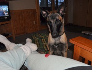 I brought you this bottle cap. I heard you love bottle caps.