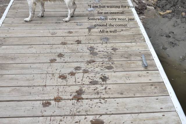 19702242_1416629835091915_9114810982159222456_n